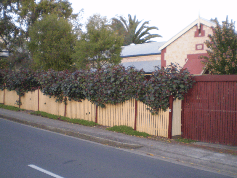 26 Daly Street