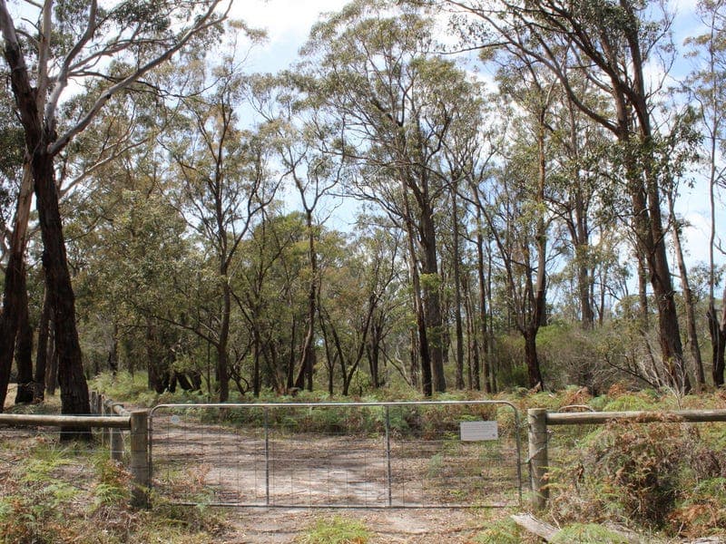 South Gippsland Highway