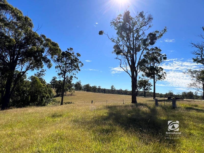 218 Cabbage Tree - Conran Road