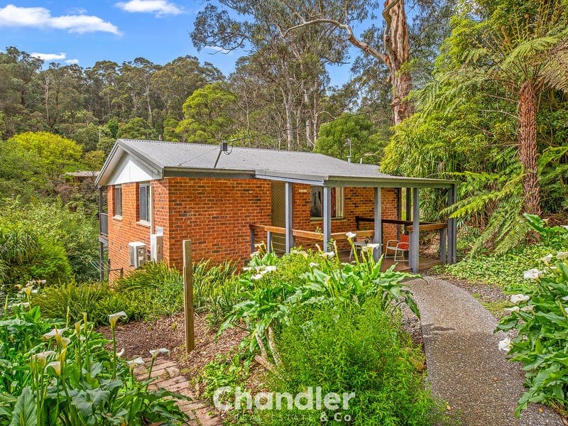 91 Belgrave-Gembrook Road